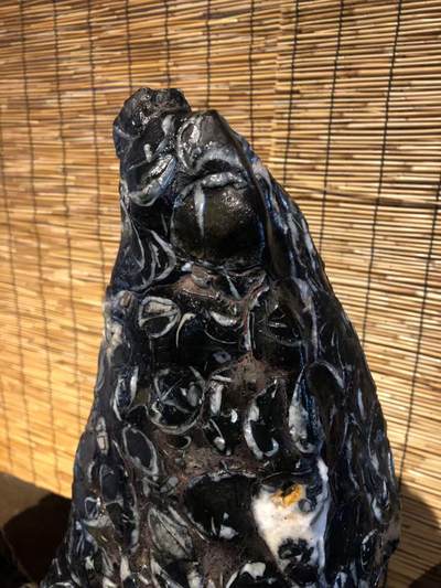 雅室陈设——古化石赏石，包老全品高68厘米 - 雅室陈设——古化石赏石，包老全品高68厘米