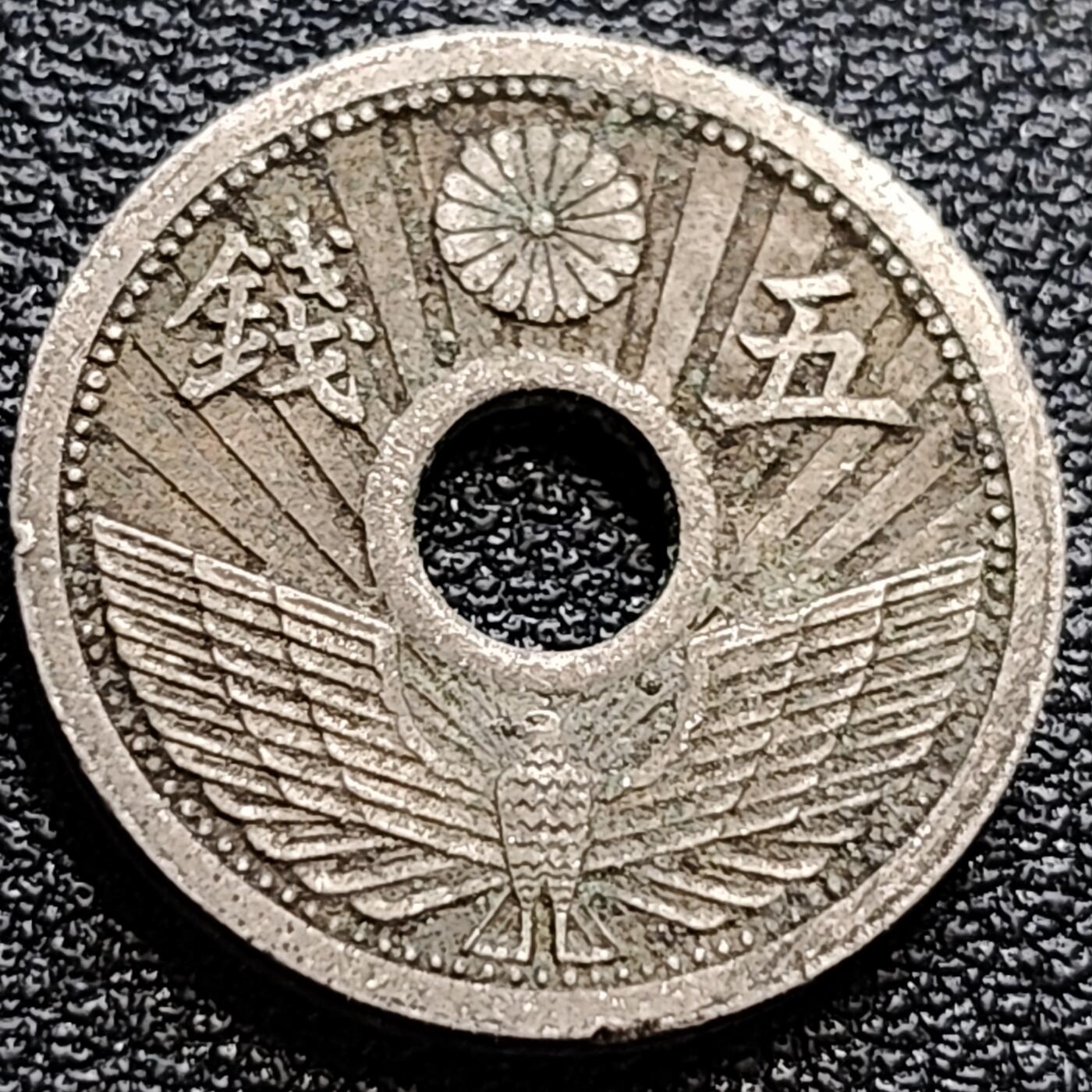 泉币菌-第84场-散币乐园场