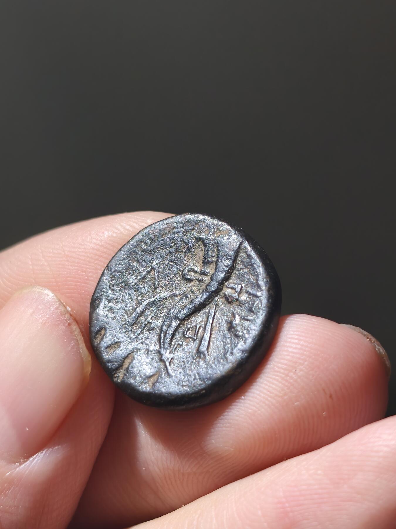 星盘世界钱币八月十六日古典币精品专场，本场全部老孙严选精品