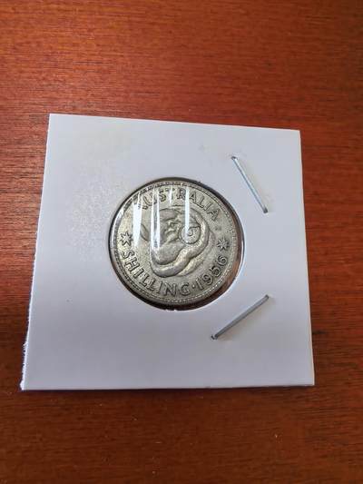 长老汇马年精选第六场拍卖 - 1956澳大利亚伊丽莎白二世1先令绵羊银币，克书125美金