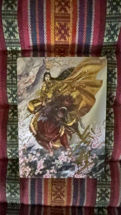 光影卡牌第19期，各家亲签，各家套卡，持续收拍品 - （亲签）谷粒三娘签名卡粗闪