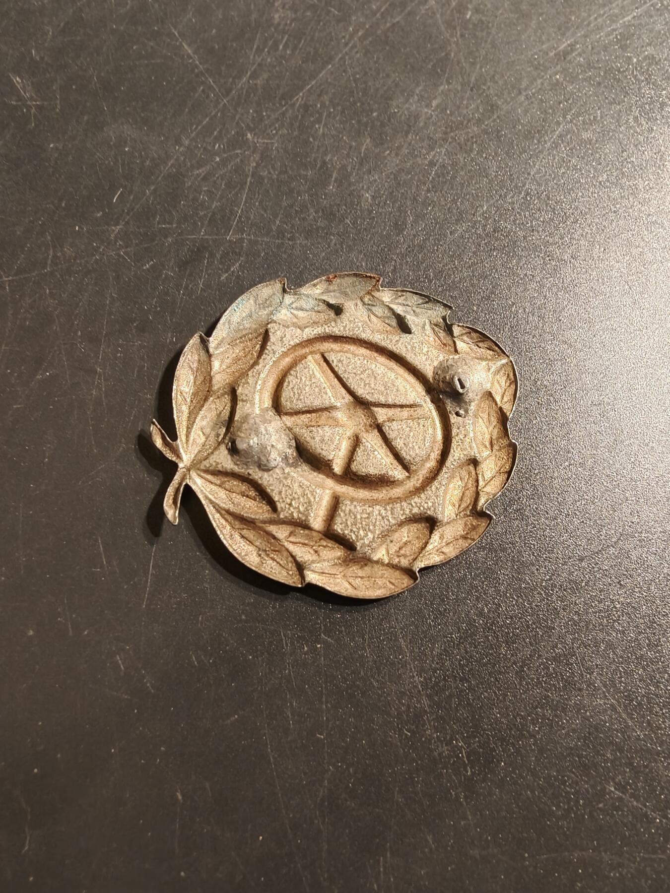 老王徽章第141期