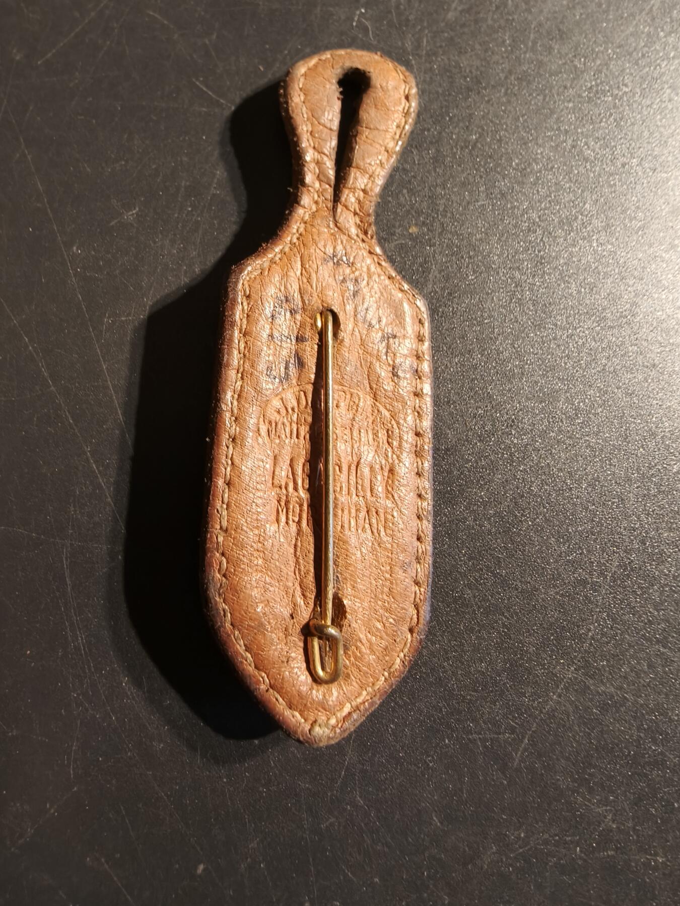 老王徽章第141期