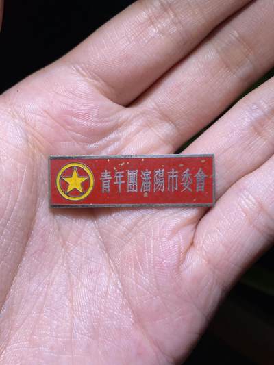 徽章专拍场 - 五十年代青年团沈阳市委会