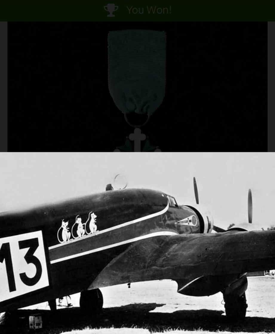 RimeNova韵星2025军品类夏季拍卖会-- RimeNova 2025 Summer Militaria Sale 意大利王国王牌飞行员Amedeo Paradsi中校 骑士级圣莫里斯和圣拉撒禄勋章 详情介绍