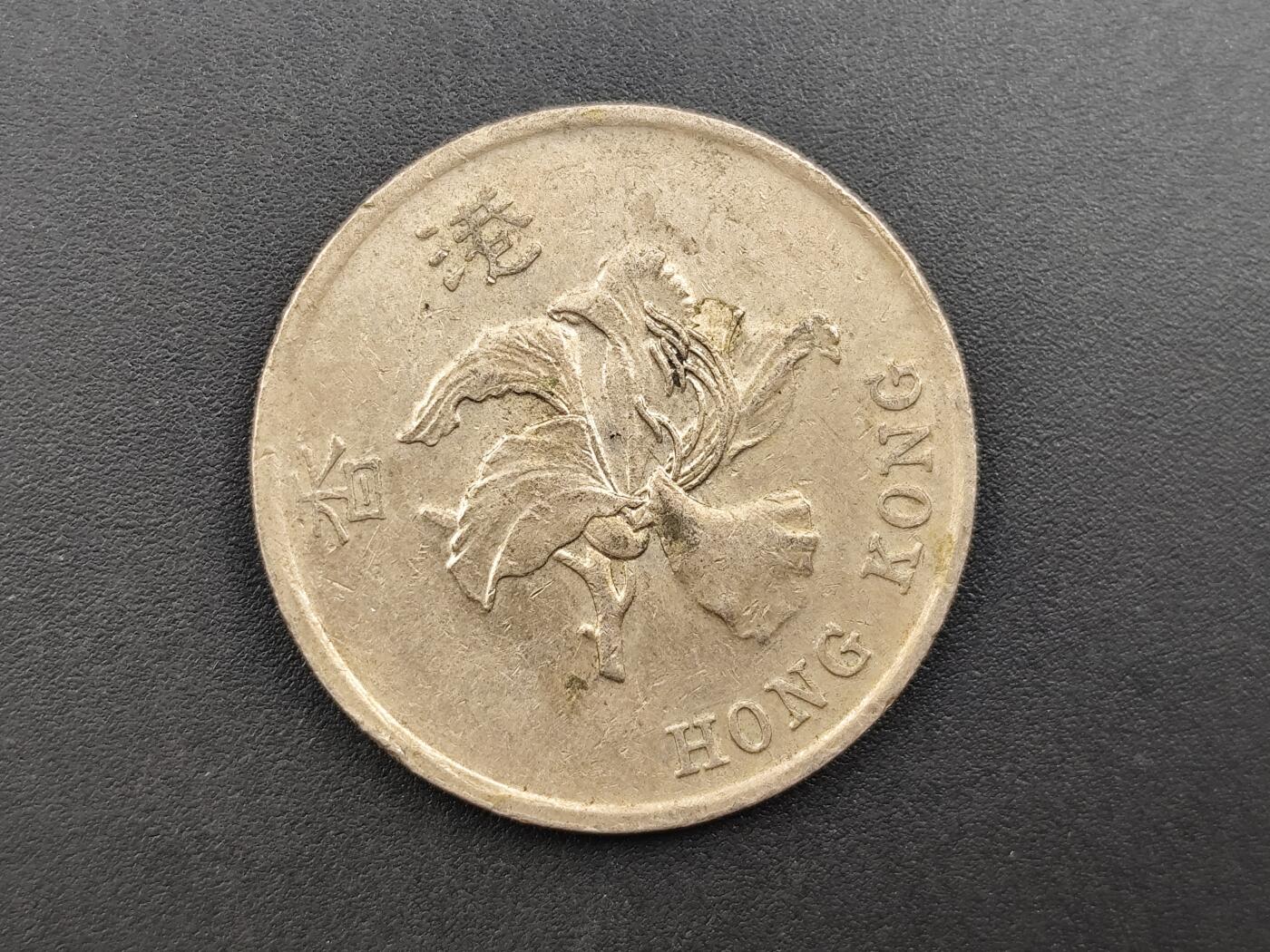 8月 符卡 钱币专场（0元拍）