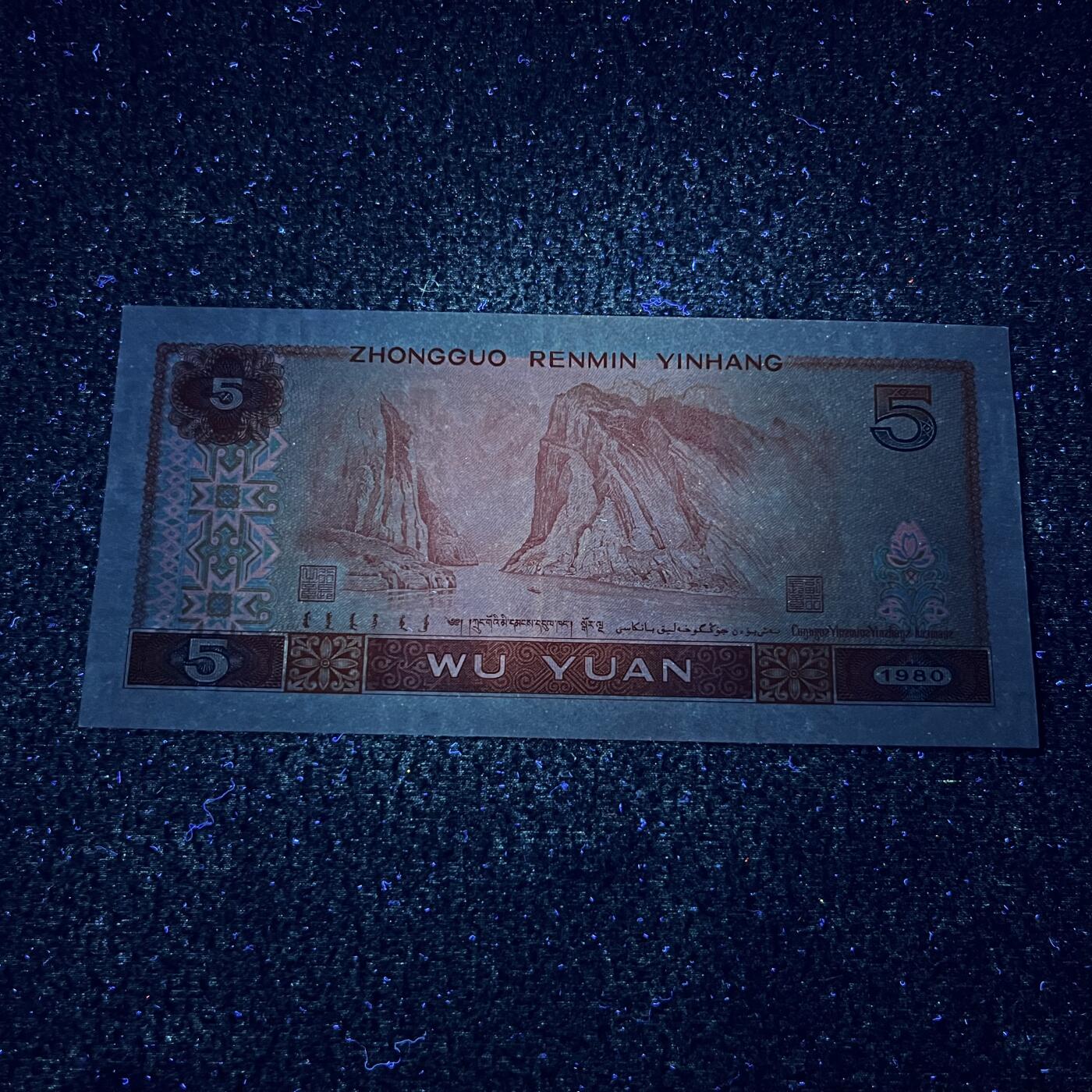 805强荧光·金光蓝鹤号码随机发货品相如图