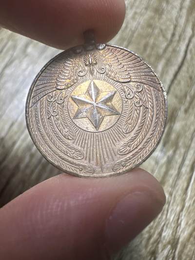 章，世界钱币 精美银制章