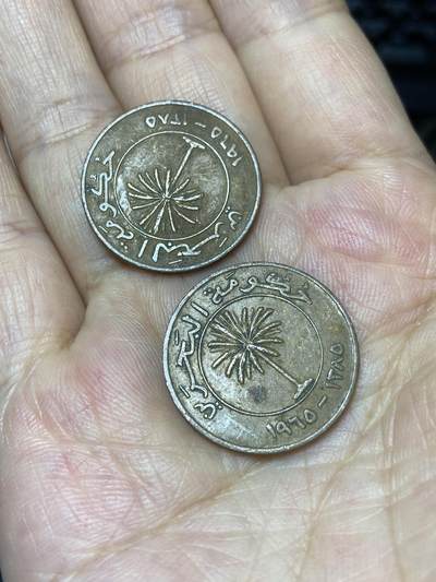 2025年第七十九场(总第一百零五场）外国好品散币(免佣金) 巴林🇧🇭2枚：1965年10费尔