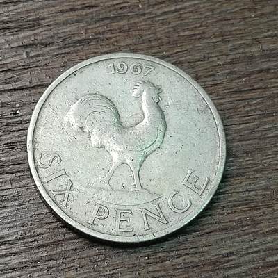 【铜匠收藏】★第126场★散币场，无佣金，30包邮。不满30元，支付5元运费。《接受代拍 代送NGC评级》 - 1967年 马拉维 6便士