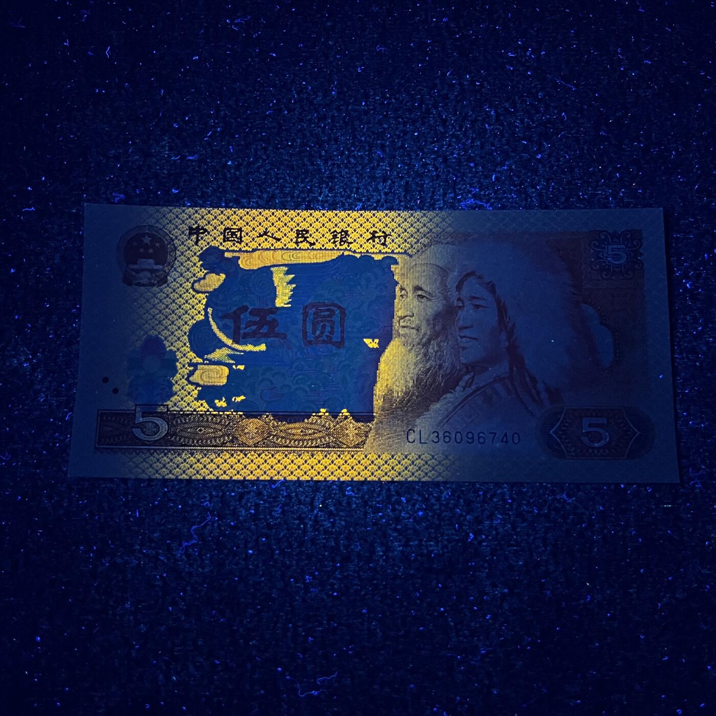 805强荧光·金光蓝鹤号码随机发货品相如图