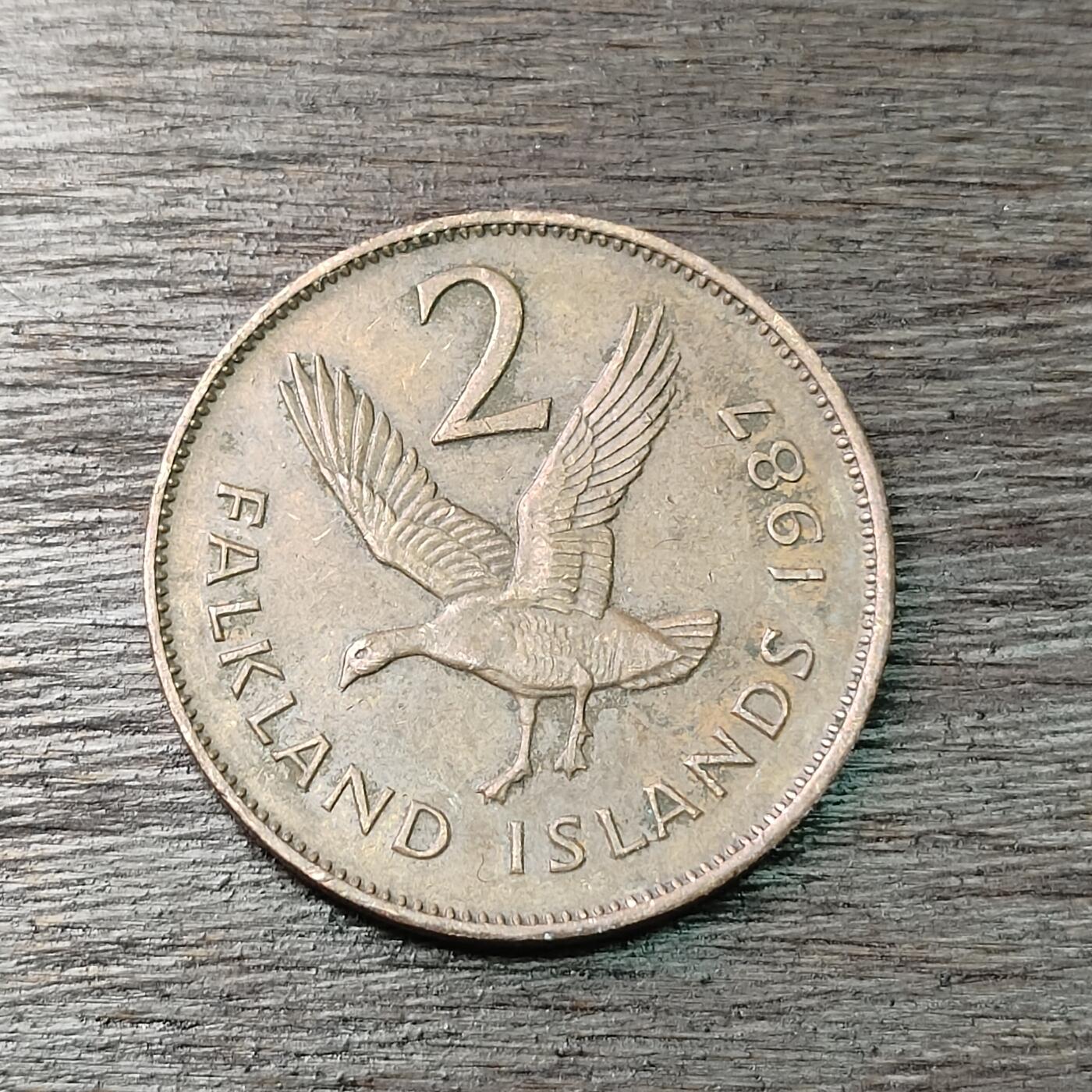 【铜匠收藏】★第126场★散币场，无佣金，30包邮。不满30元，支付5元运费。《接受代拍 代送NGC评级》 福克兰群岛 1987年 美洲雁 2便士 大铜币 青年头像