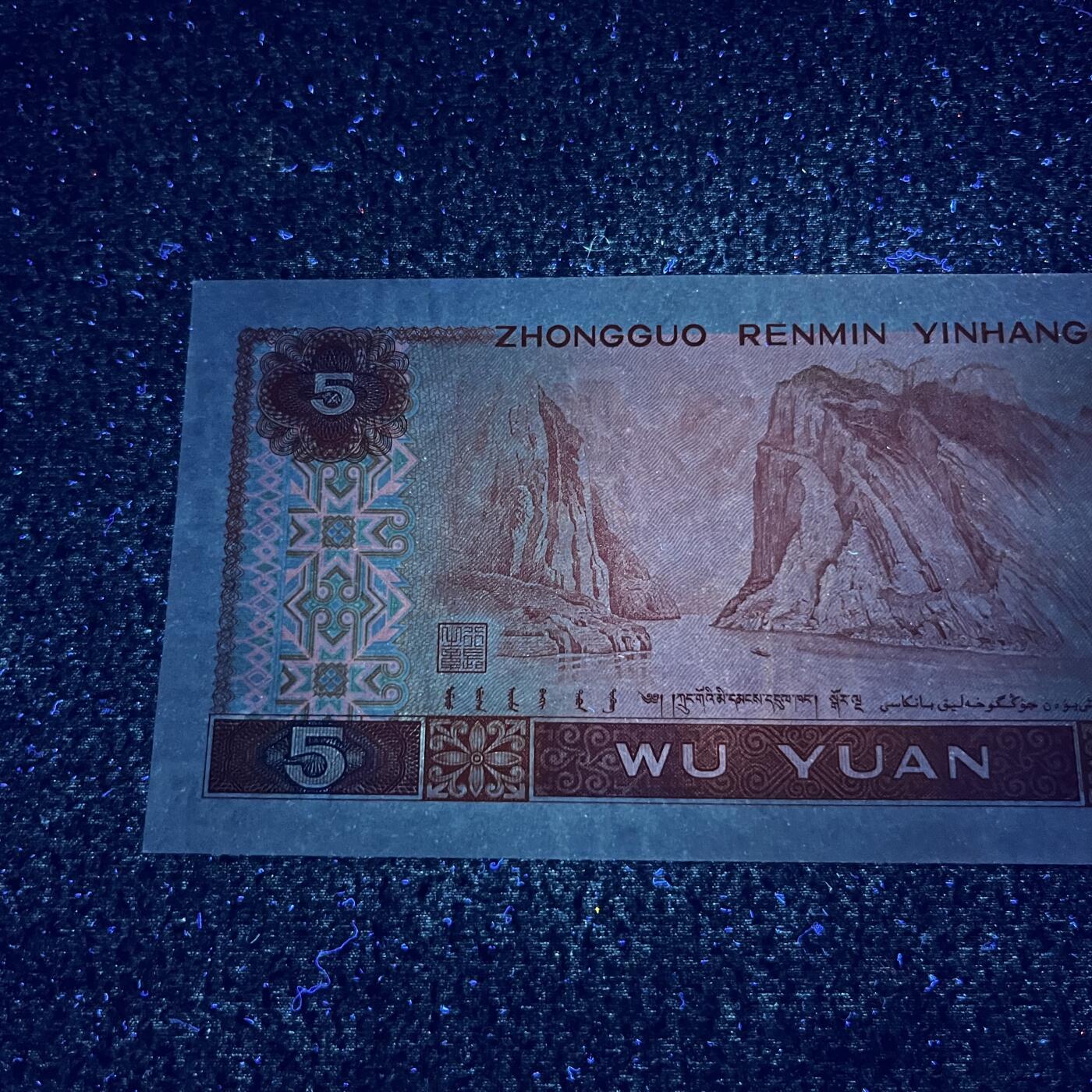 805强荧光·金光蓝鹤号码随机发货品相如图