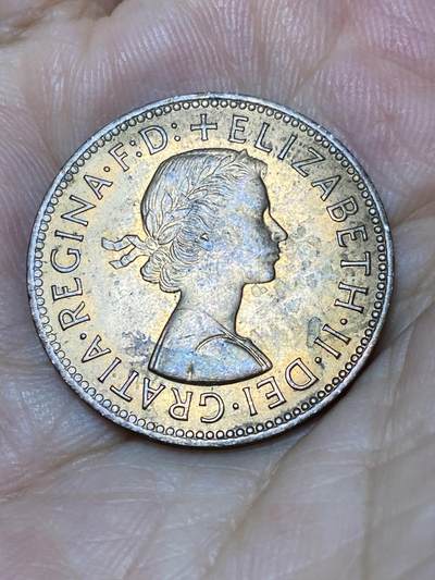 2025年第七十九场(总第一百零五场）外国好品散币(免佣金) 英国🇬🇧1966年半便士(伊丽莎白二世青年桂冠第二版)