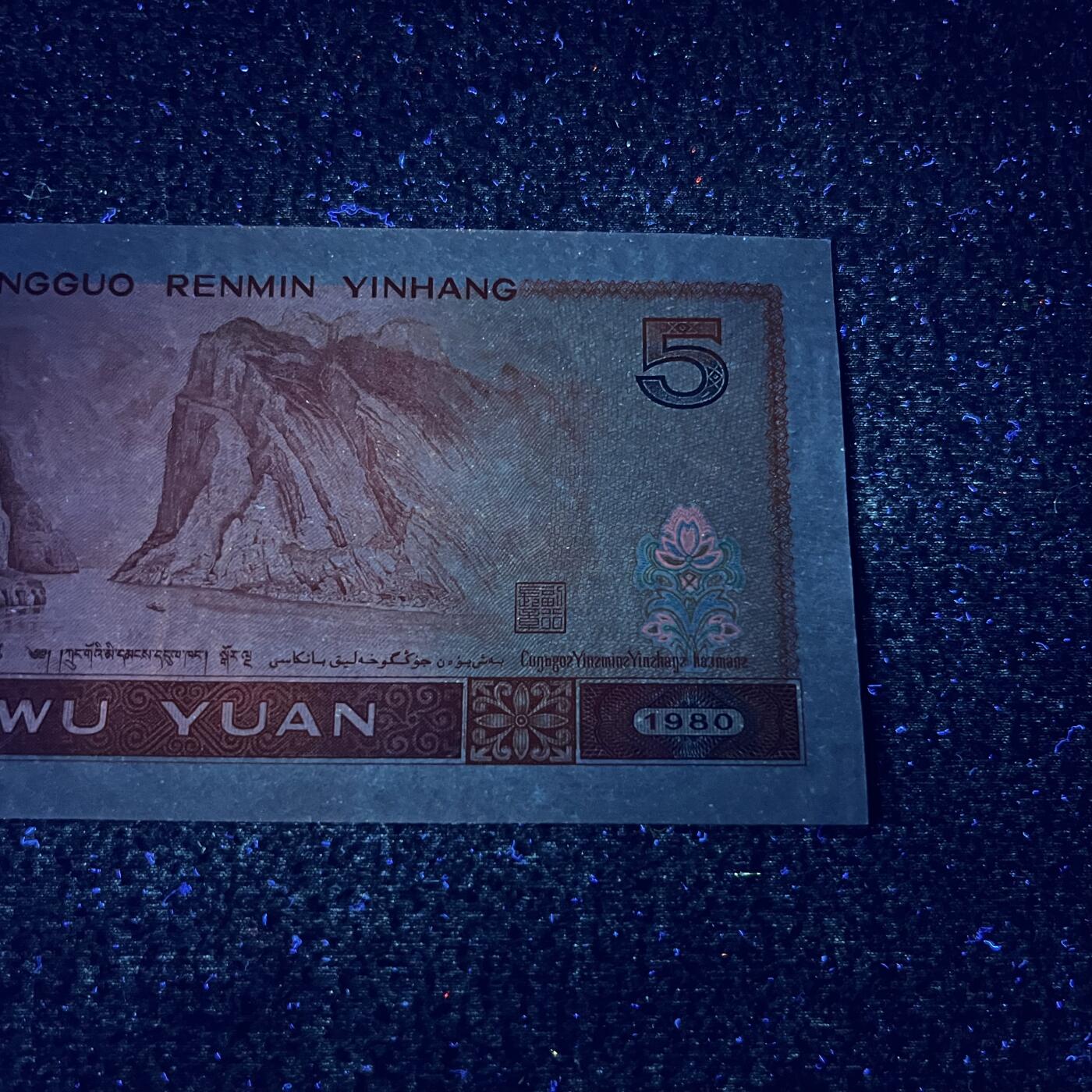 805强荧光·金光蓝鹤号码随机发货品相如图