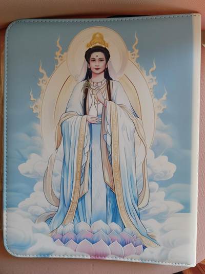 奇趣收藏卡牌拍卖第20场（持续增加中） 【卡册】山河潮玩协会 青朴-西游记 配套九宫卡册 全新  D环 拉链 带提带 含3包全新九宫卡页每包10张