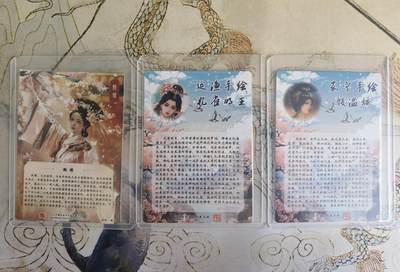 奇趣收藏卡牌拍卖第20场（持续增加中） 山河潮玩  嘉宁 殷温娇，延渔 孔雀明王，雪舟 甄嬛  粗闪 各1张 全新覆膜卡夹卡膜保护