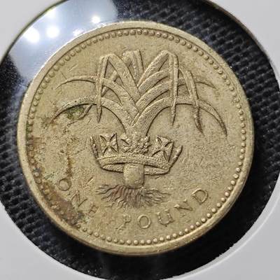 KK钱币收藏小铺 第321期 2月预留时间 周末发货 - 英国1镑 