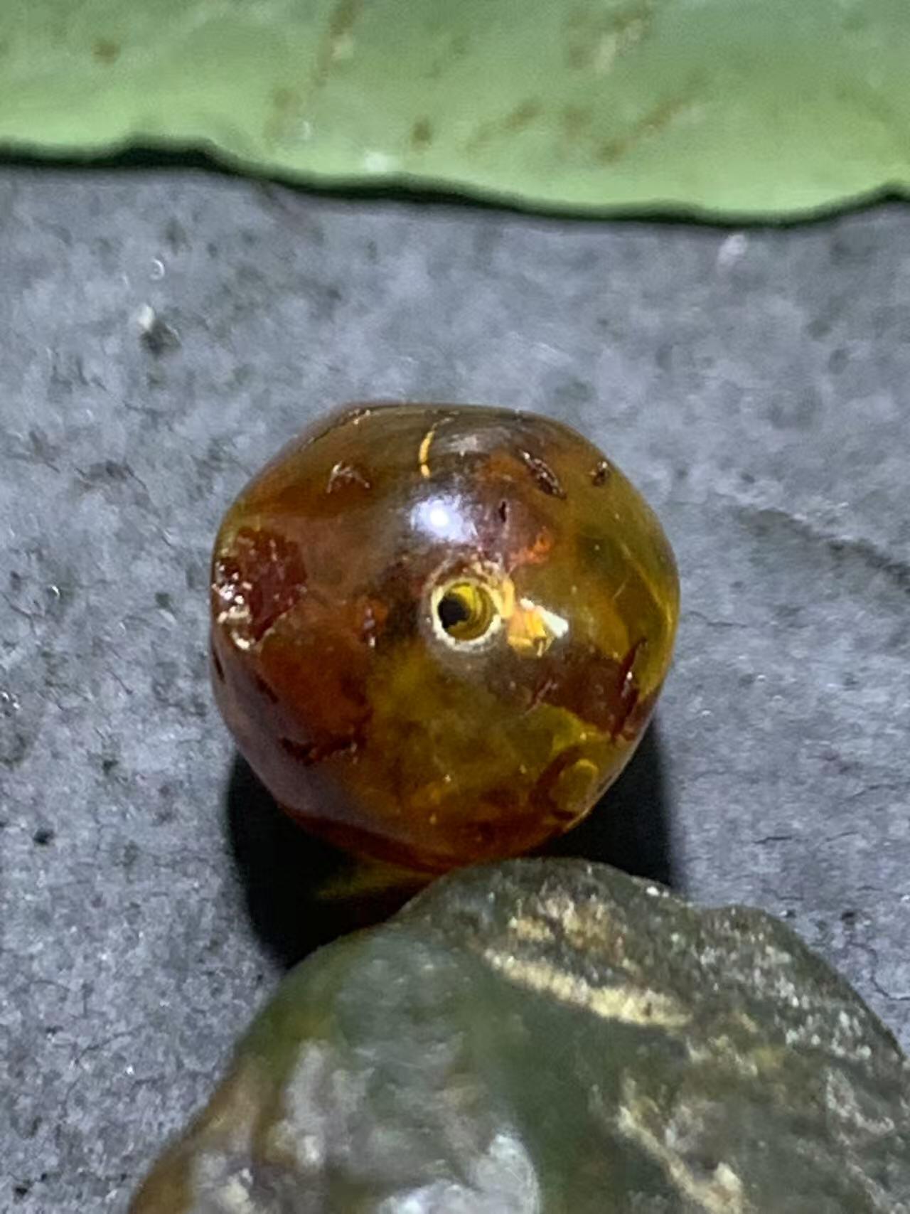 乌克兰花珀通货随形珠一个，