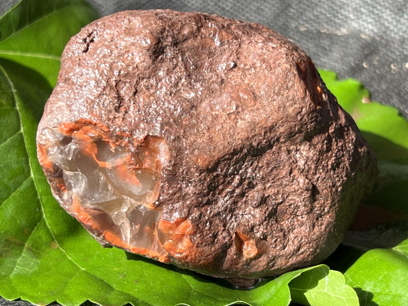 零元拍：南红玛瑙手把石，凉山联合料。约259克，半斤多重的大料，料形完整，冰飘果冻飘花非常漂亮，纯天然，独一无二的（天然原石不可避免有瑕疵，裂纹，介意勿拍）因为拍照环境以及光线的变化，颜色以实物为准。成品很美丽，原石亦魅力无穷。
