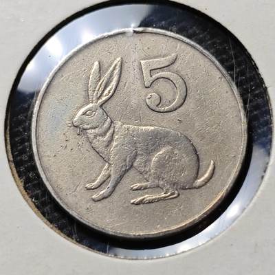 KK钱币收藏小铺 第322期 2月预留时间 周末发货 -  津巴布韦5分