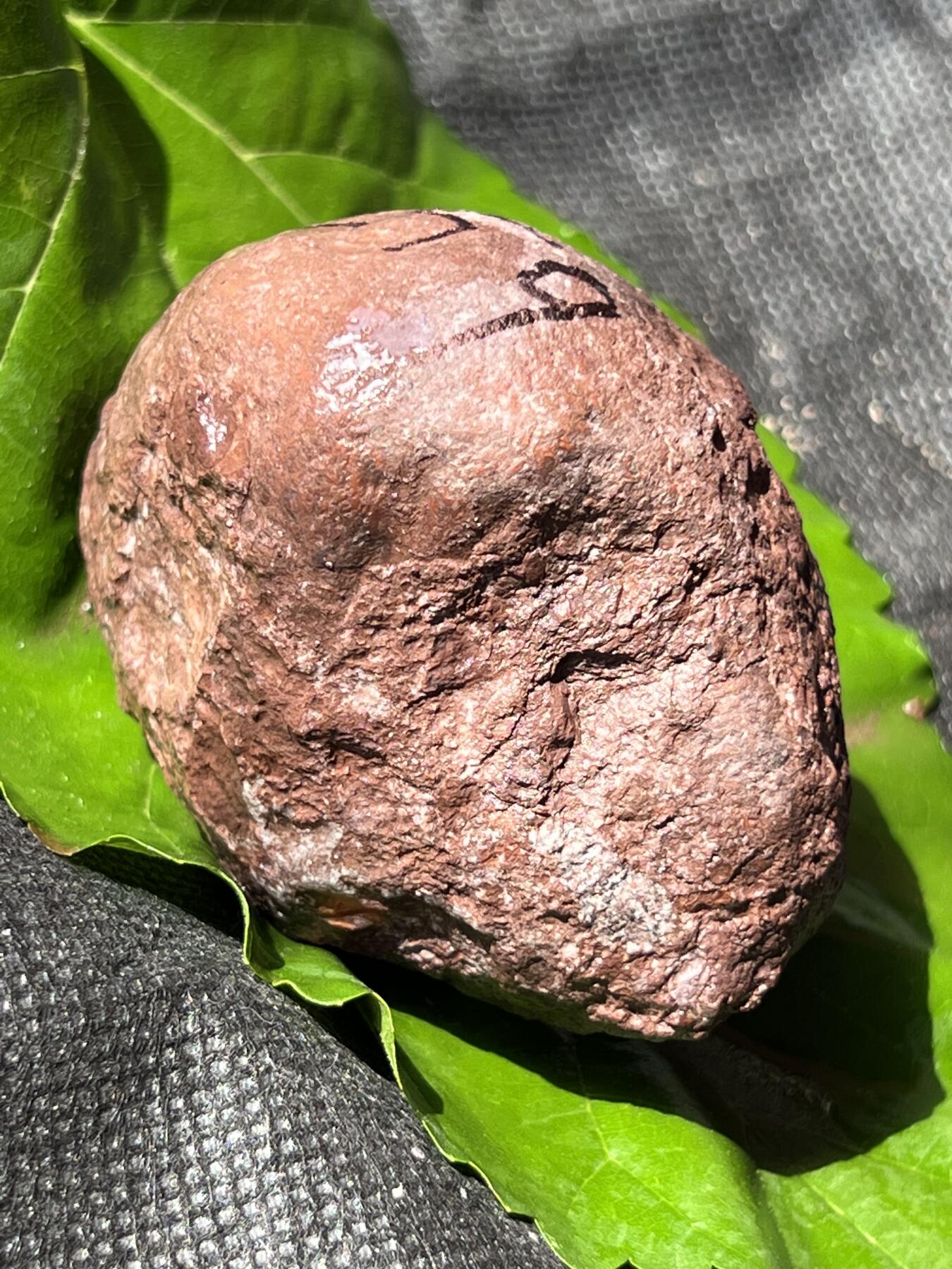 零元拍：南红玛瑙手把石，凉山联合料。约259克，半斤多重的大料，料形完整，冰飘果冻飘花非常漂亮，纯天然，独一无二的（天然原石不可避免有瑕疵，裂纹，介意勿拍）因为拍照环境以及光线的变化，颜色以实物为准。成品很美丽，原石亦魅力无穷。