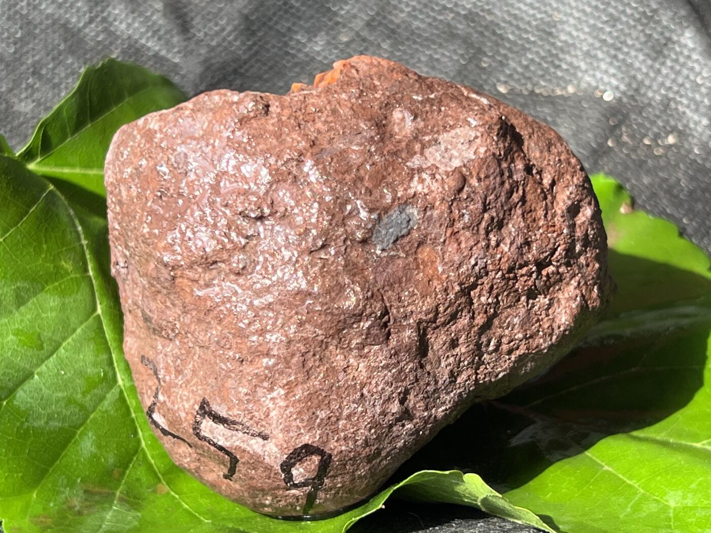 零元拍：南红玛瑙手把石，凉山联合料。约259克，半斤多重的大料，料形完整，冰飘果冻飘花非常漂亮，纯天然，独一无二的（天然原石不可避免有瑕疵，裂纹，介意勿拍）因为拍照环境以及光线的变化，颜色以实物为准。成品很美丽，原石亦魅力无穷。