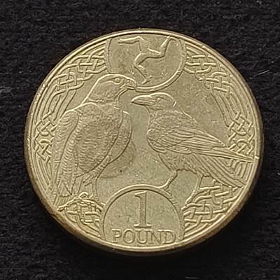 【全场包邮】纯粹捡漏拍451场 - 马恩岛2017年1镑-游隼和乌鸦