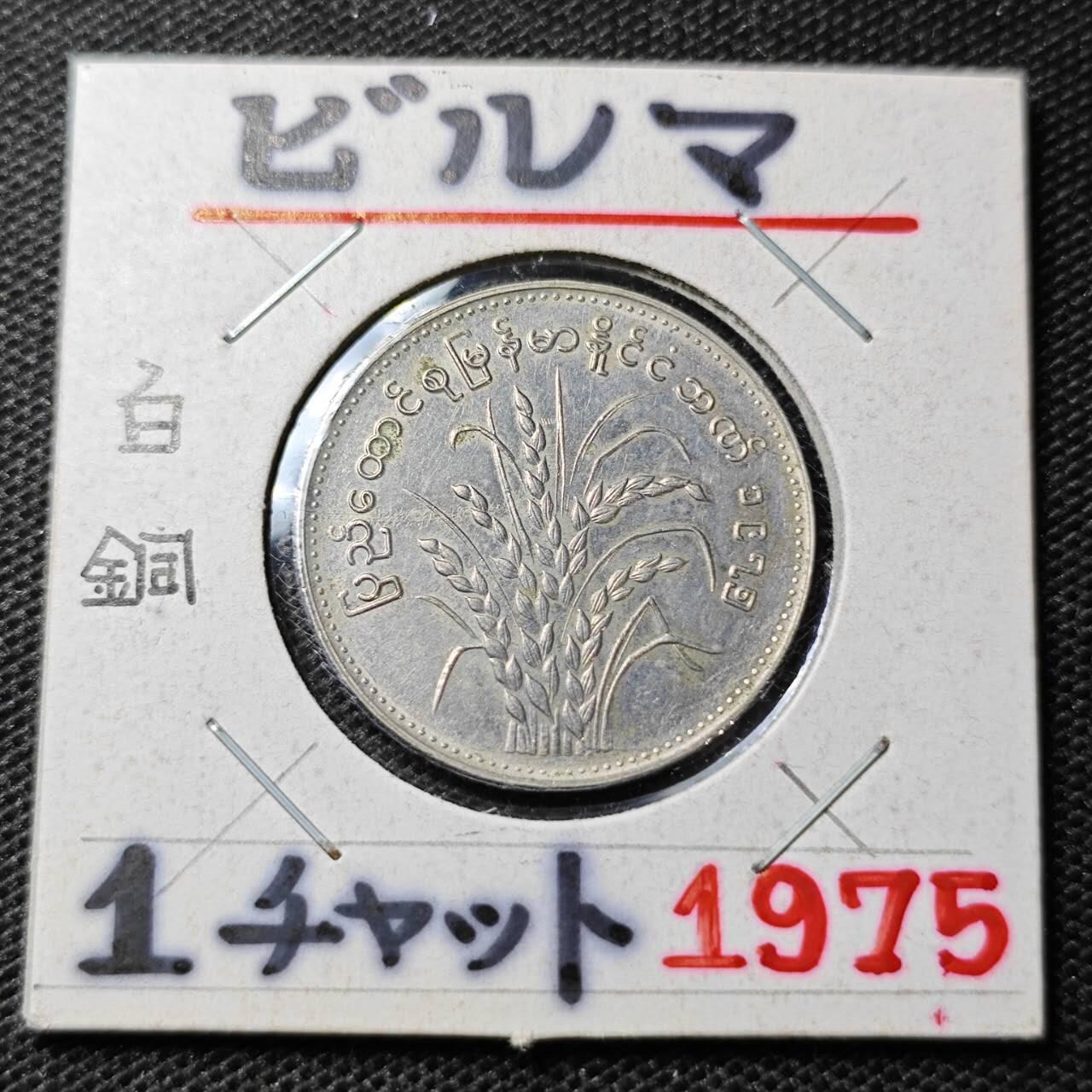 KK钱币收藏小铺 第322期 2月预留时间 周末发货