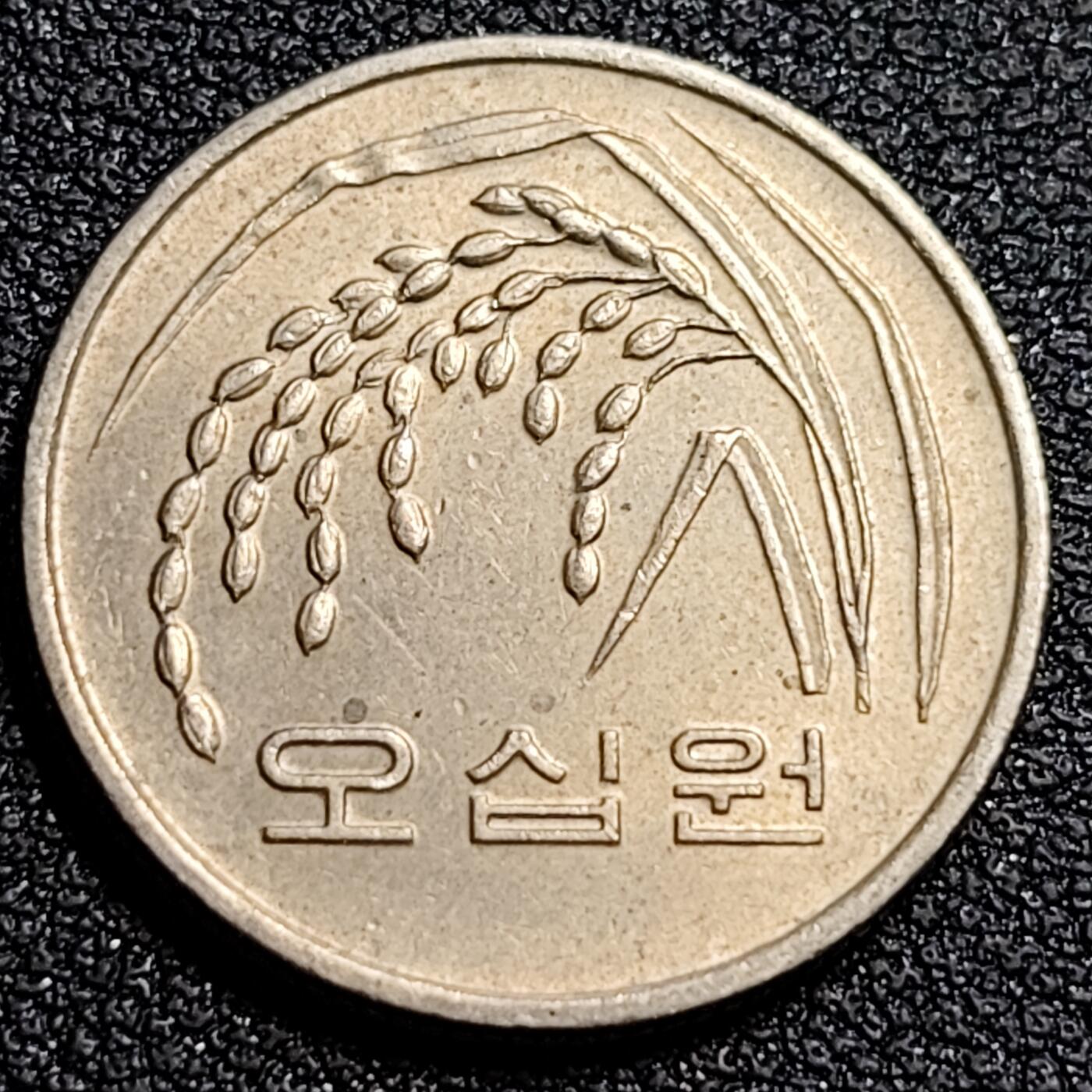 泉币菌-第81场-精品福利场
