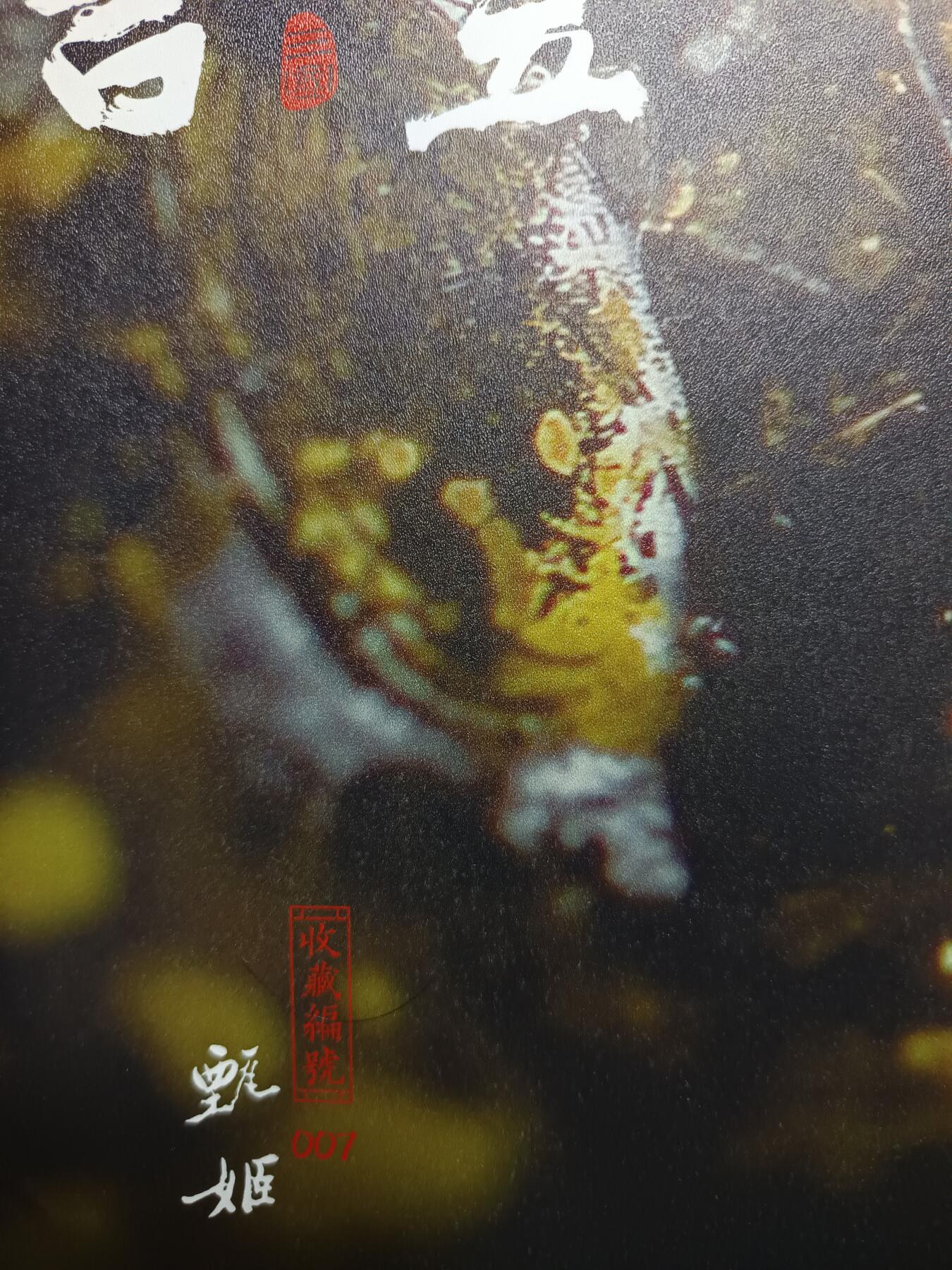 天玑星卡拍第113期《8.14周四截拍》持续收拍收评中 满赠卡需备注