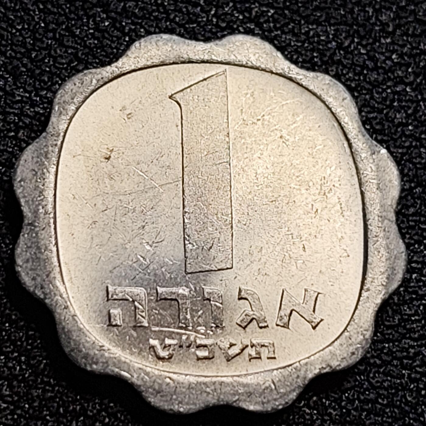 泉币菌-第79场-精品福利场