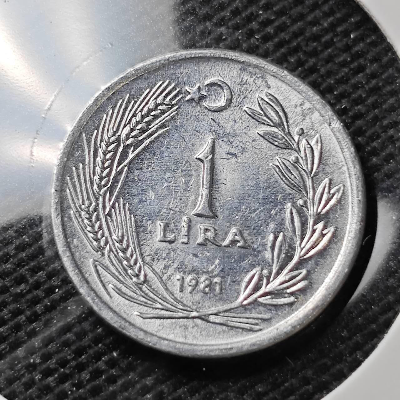 KK钱币收藏小铺 第321期 2月预留时间 周末发货