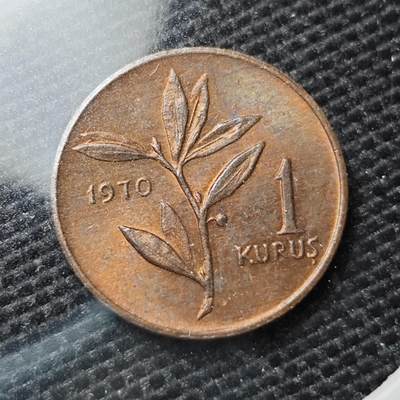 KK钱币收藏小铺 第321期 2月预留时间 周末发货 -  1970土耳其1库鲁铜币 好品