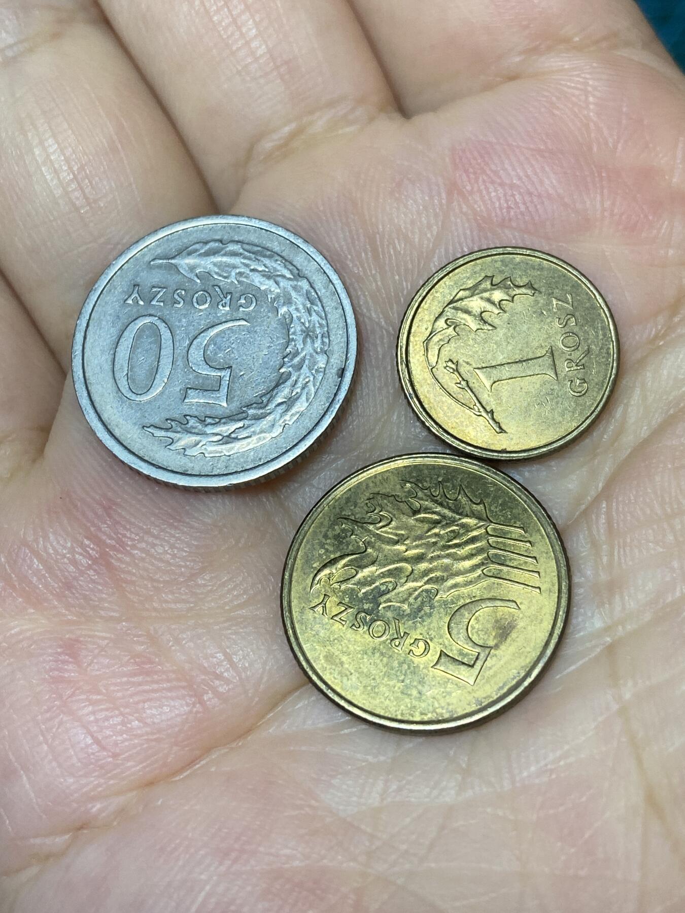 2025年第七十九场(总第一百零五场）外国好品散币(免佣金) 波兰3枚：2005年1格罗希，1990年50格罗希，2008年5格罗希