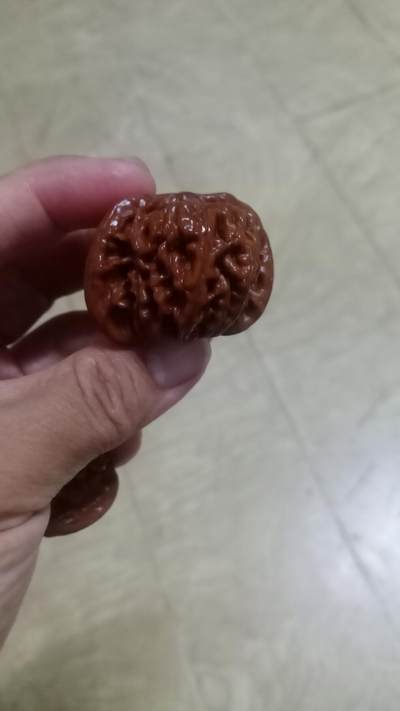 狮子头核桃