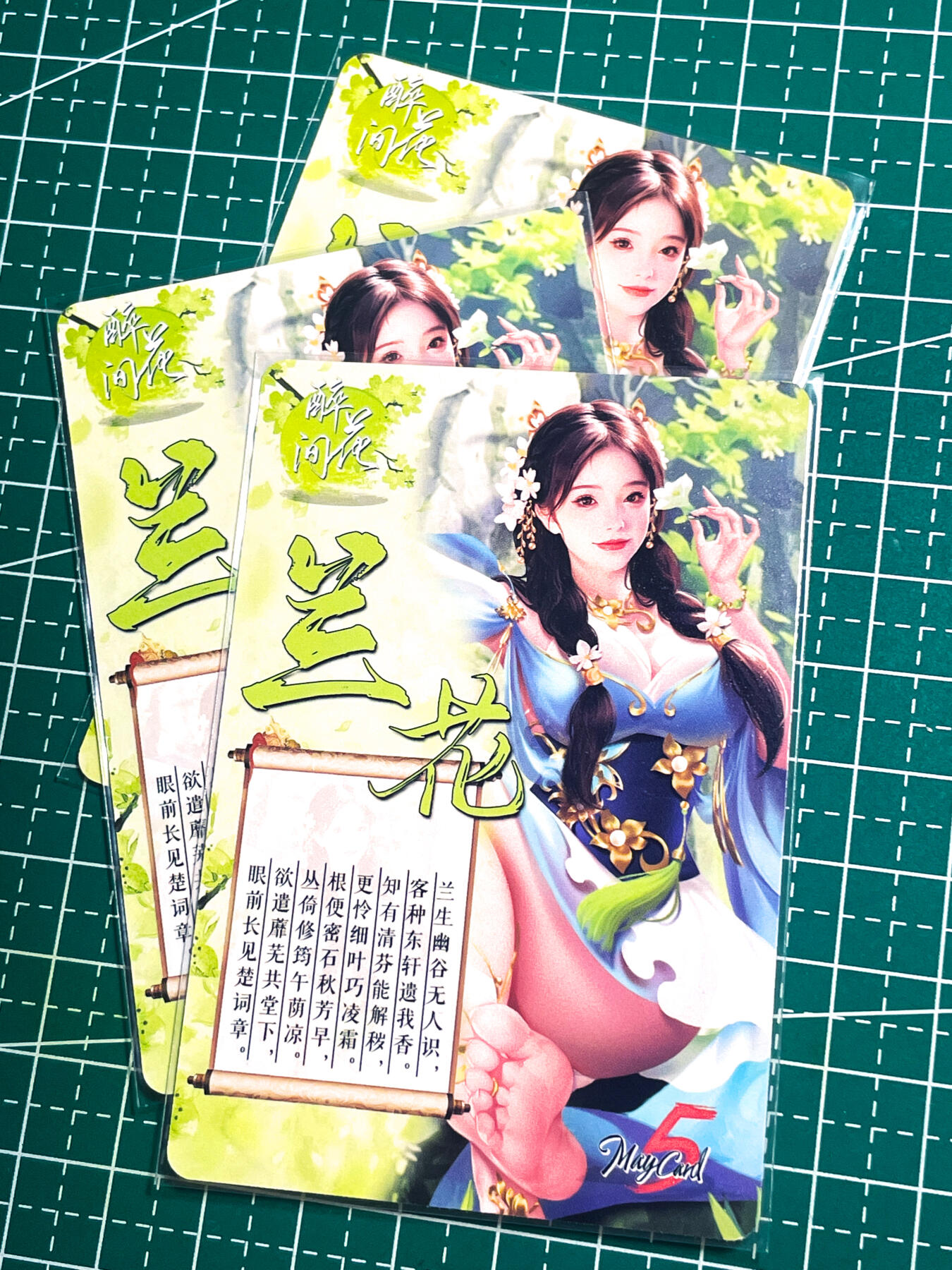 显眼宝27期【关注参拍有赠卡】 独乐乐不如众乐乐