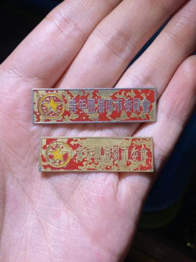徽章专拍场 - 五十年代青年团沈阳市委会（两个版本）