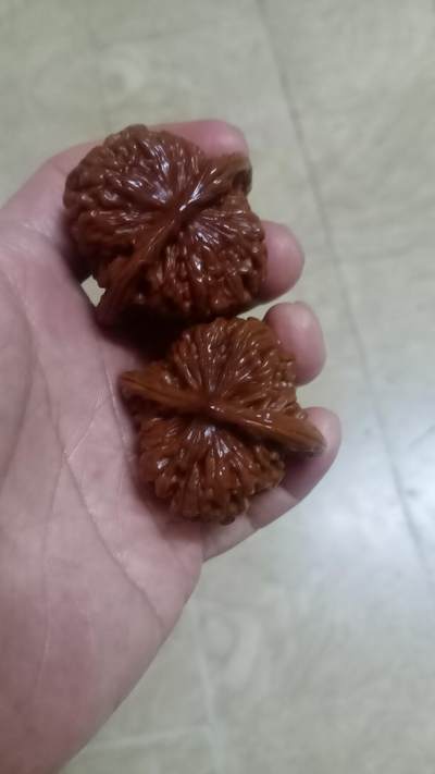 狮子头核桃 - 狮子头核桃