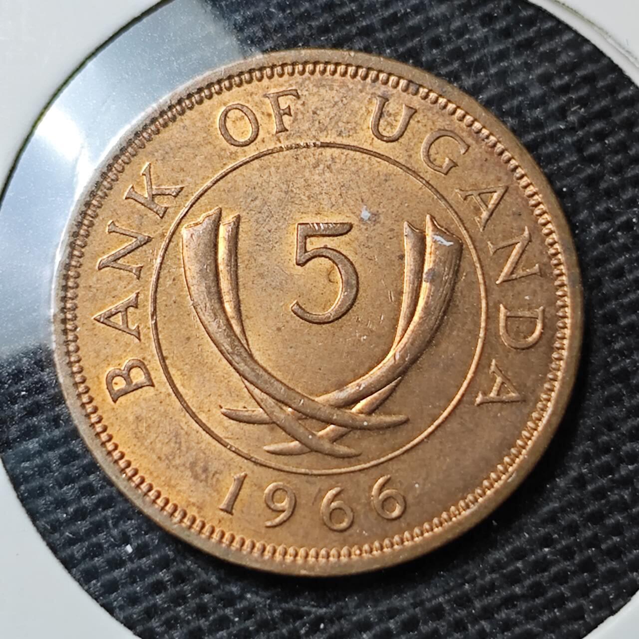 KK钱币收藏小铺 第323期 2月预留时间 周末发货 1966乌干达5分好品铜币