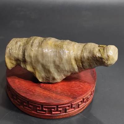希腊罗马丝路打制币化石【中外钱币放漏】专场！陆小鱼的钱币仓，限时拍卖第074场 - 特大型单体珊瑚化石 全玉化纹路细腻光滑 玉质非常好 这么大的单体珊瑚化石非常少见  4.5亿年前海洋古生物化石标本222g