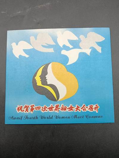 64期回流戒指饰品杂件纪念章丝路钱币专场 - 第四次世界妇女大会纪念章