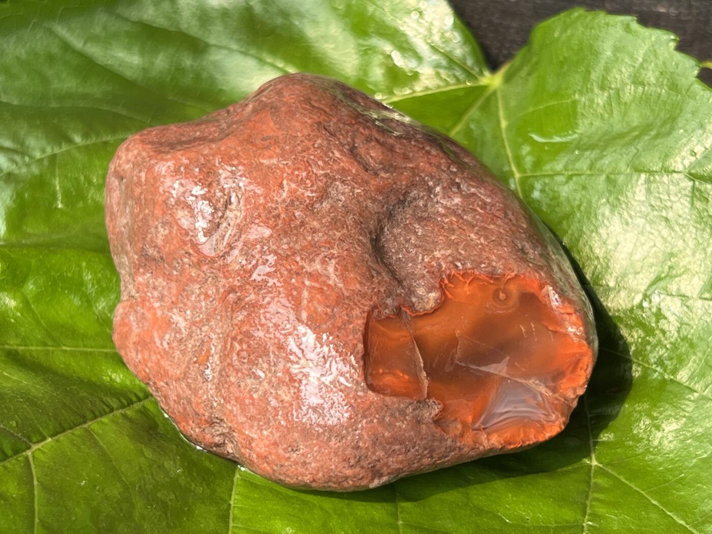 零元拍：南红玛瑙手把石，凉山联合料。约142克，料形完整，开口非常漂亮，纯天然，独一无二的（天然原石不可避免有瑕疵，裂纹，介意勿拍）因为拍照环境以及光线的变化，颜色以实物为准。成品很美丽，原石亦魅力无穷。