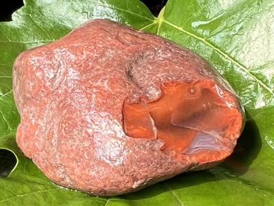 零元拍：南红玛瑙手把石，凉山联合料。约142克，料形完整，开口非常漂亮，纯天然，独一无二的（天然原石不可避免有瑕疵，裂纹，介意勿拍）因为拍照环境以及光线的变化，颜色以实物为准。成品很美丽，原石亦魅力无穷。 - 零元拍：南红玛瑙手把石，凉山联合料。约142克，料形完整，开口非常漂亮，纯天然，独一无二的（天然原石不可避免有瑕疵，裂纹，介意勿拍）因为拍照环境以及光线的变化，颜色以实物为准。成品很美丽，原石亦魅力无穷。