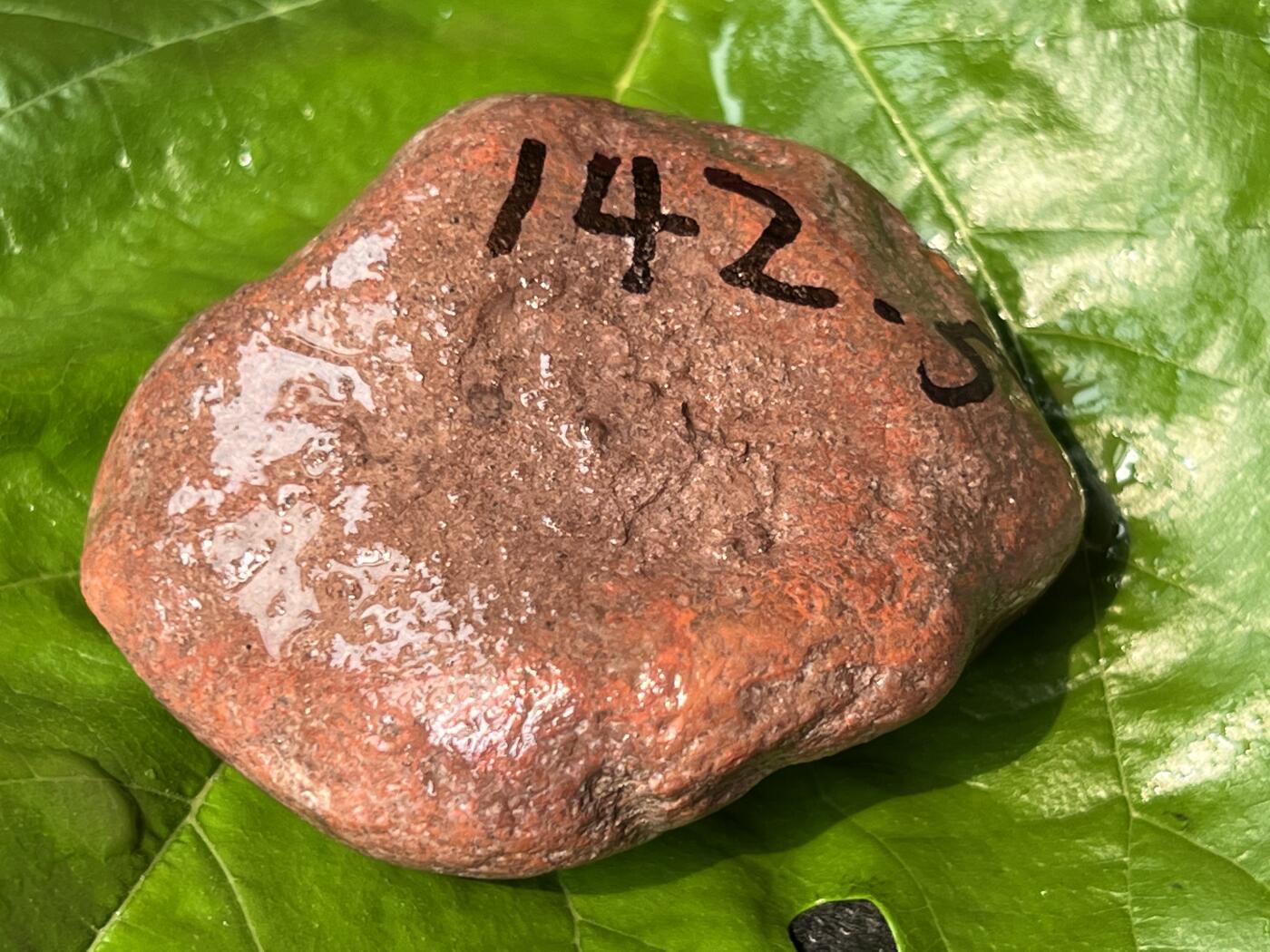 零元拍：南红玛瑙手把石，凉山联合料。约142克，料形完整，开口非常漂亮，纯天然，独一无二的（天然原石不可避免有瑕疵，裂纹，介意勿拍）因为拍照环境以及光线的变化，颜色以实物为准。成品很美丽，原石亦魅力无穷。