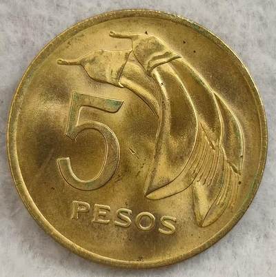 G&W世界散币，银币处理专场（第27场） - 乌拉圭1969年5比索