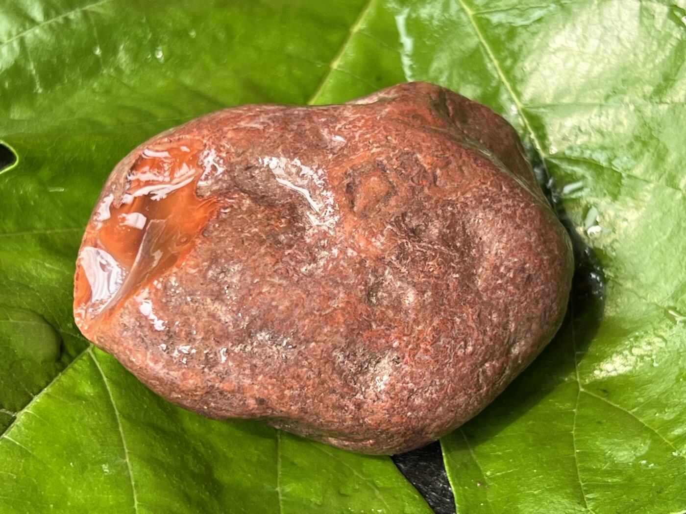 零元拍：南红玛瑙手把石，凉山联合料。约142克，料形完整，开口非常漂亮，纯天然，独一无二的（天然原石不可避免有瑕疵，裂纹，介意勿拍）因为拍照环境以及光线的变化，颜色以实物为准。成品很美丽，原石亦魅力无穷。