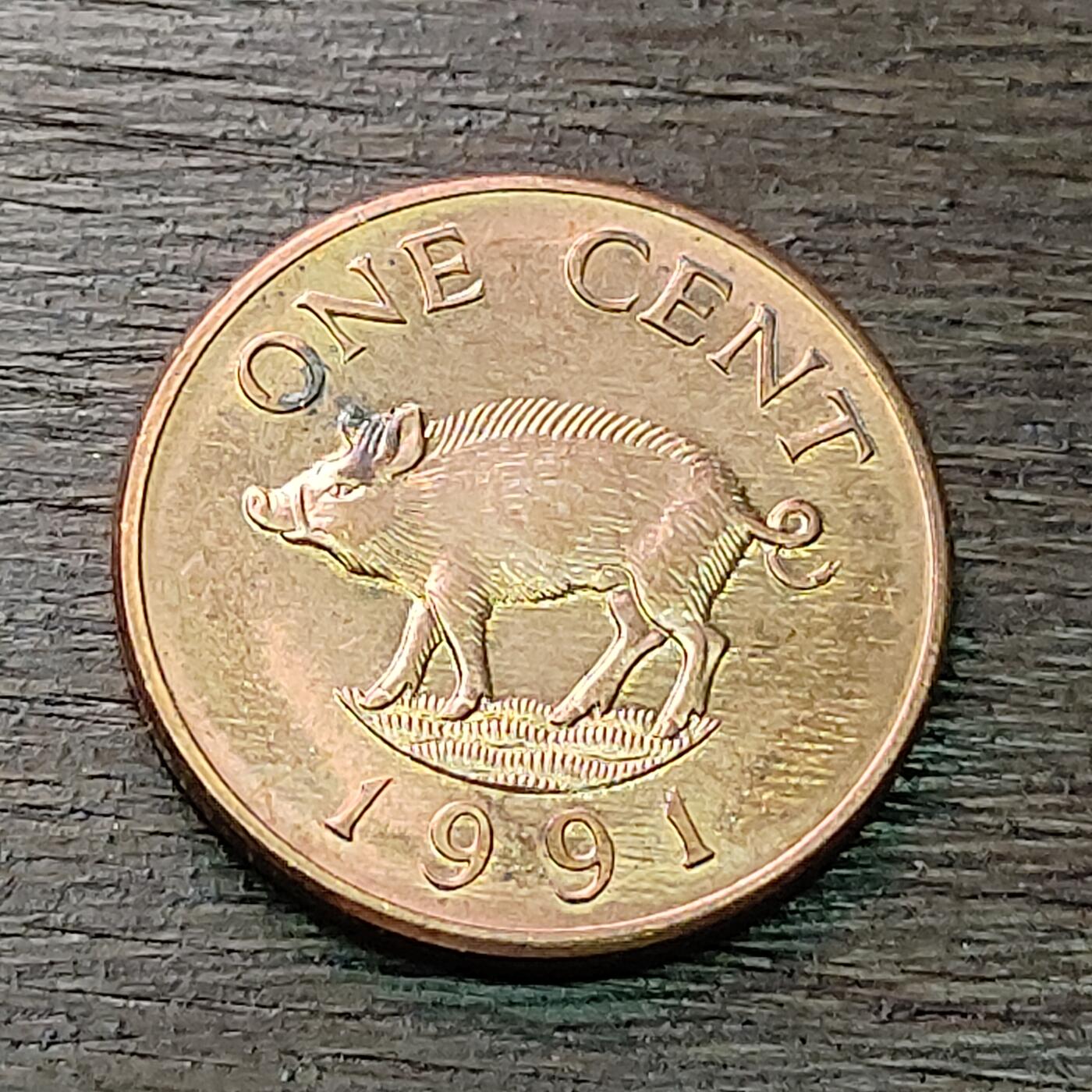 【铜匠收藏】★第128场★散币场，无佣金，30包邮。不满30元，支付5元运费。《接受代拍 代送NGC评级》 英属百慕大 1991年 1分