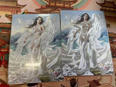寸草不生拍卖 第五期  （8月14日结拍 无佣金 ） - 燎原 刷子 精卫幻彩折光 一对