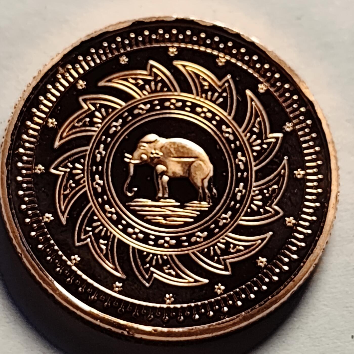 泉币菌-第86场-散币欢乐场 纪念章 大象 泰国？ 老挝？大象 30×2.8mm